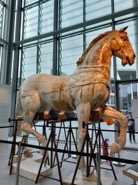 Modell eines Pferdes der Quadriga - Originalgr&ouml;&szlig;e